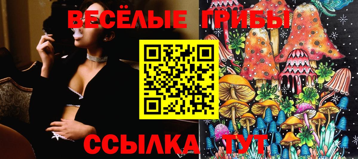 Галлюциногенные грибы MAGIC MUSHROOMS Североуральск