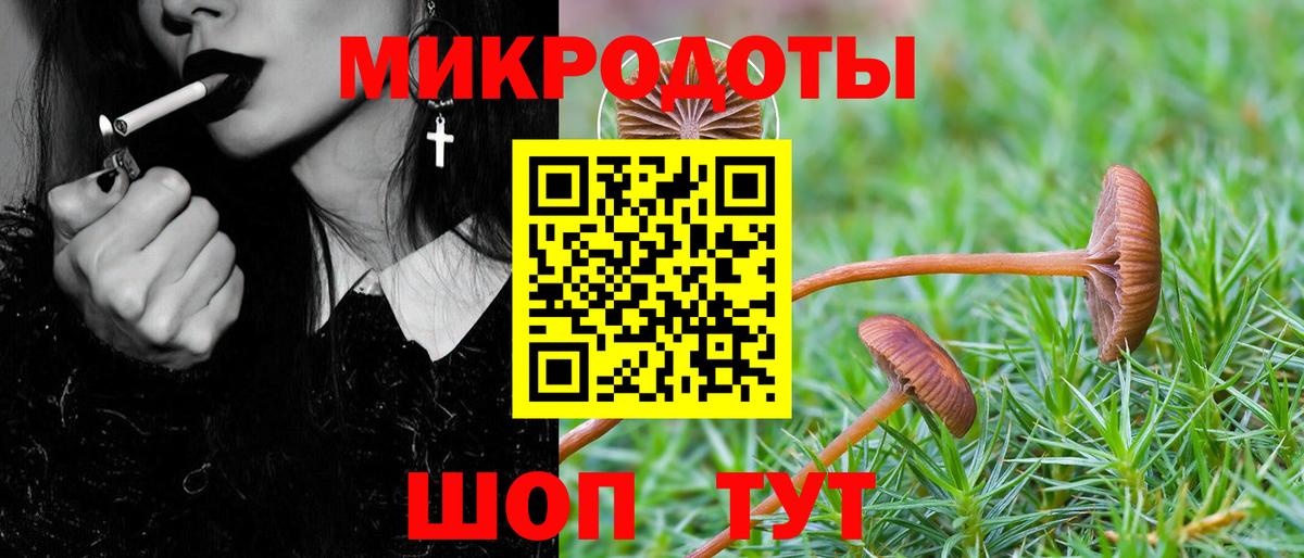 Галлюциногенные грибы MAGIC MUSHROOMS  Псилоцибиновые грибы GOLDEN TEACHER  Вход с VPN  Североуральск 